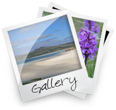 Bilder